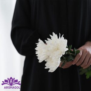گل داوودی