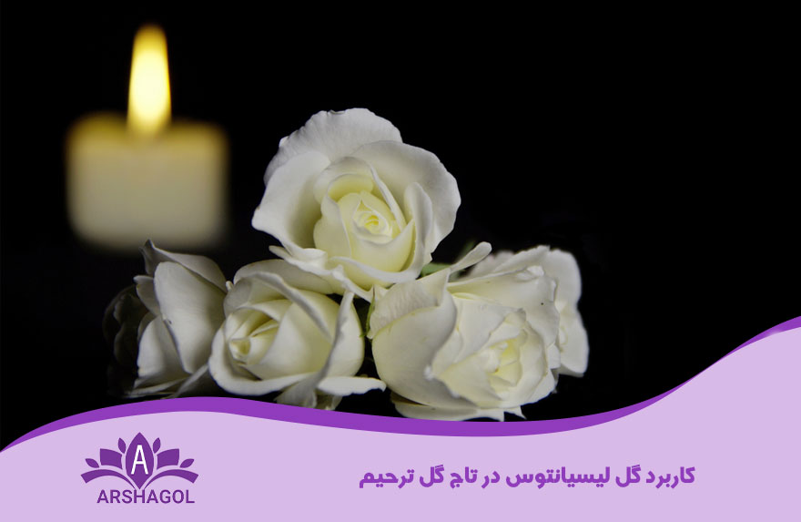 کاربردهای گل لیسیانتوس