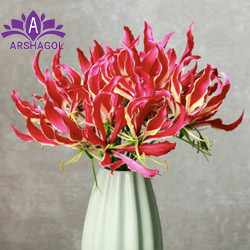 گل گلوریا لیلی (Gloriosa Lily)