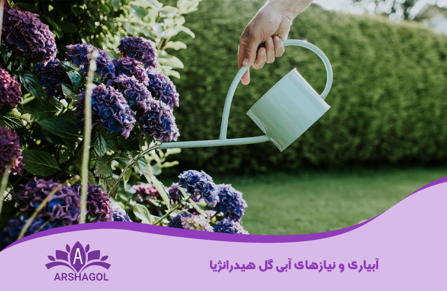 آبیاری و نیازهای آبی