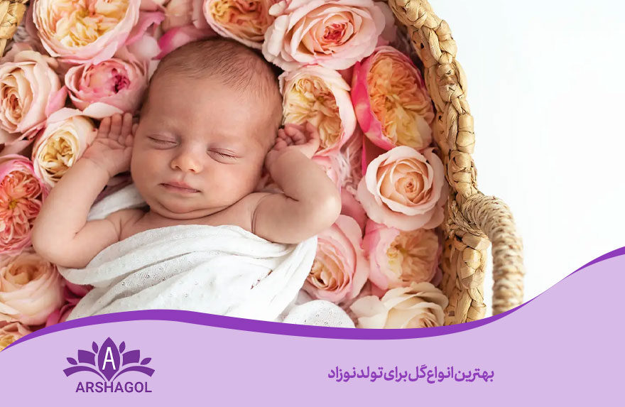 بهترین انواع گل برای تولد نوزاد