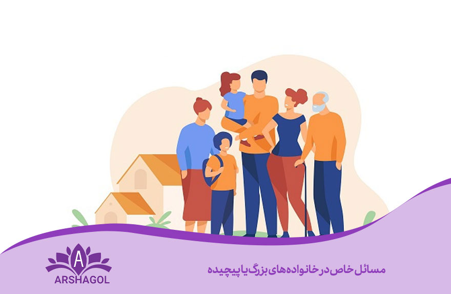 مسائل خاص در خانوادههای بزرگ یا پیچیده