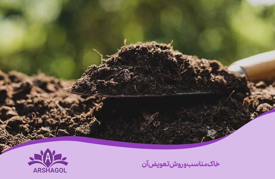 خاک مناسب و روش تعویض آن