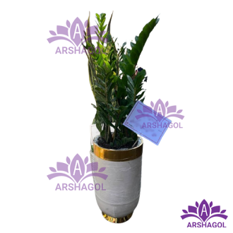 گلدان آپارتمانی کد a5009