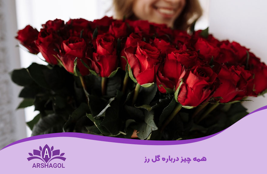 همه چیز درباره گل رز
