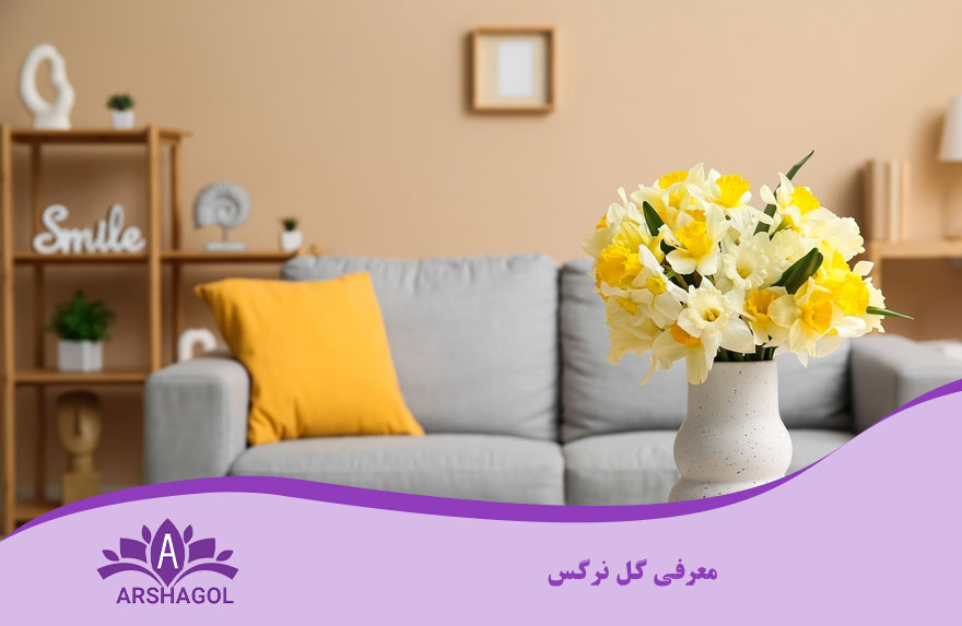 معرفی گل نرگس